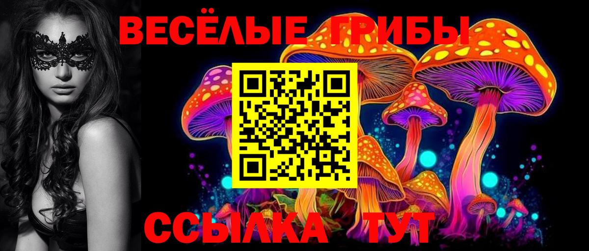 Псилоцибиновые грибы мицелий  Вход с VPN  Электросталь  Галлюциногенные грибы прущие грибы 